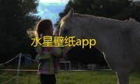 水星壁纸app